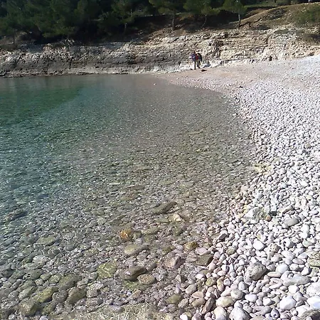 For Holidays In Apartment