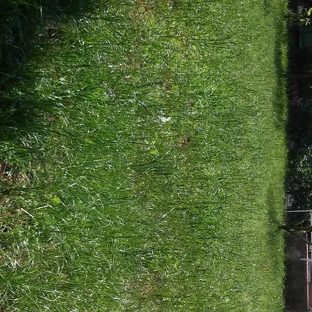 Апартаменты For Holidays In *