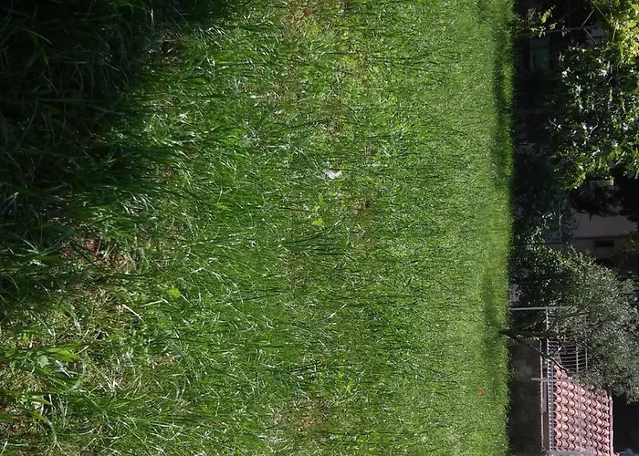 Daire For Holidays In *